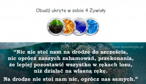 4 Zywioly grafika (7)